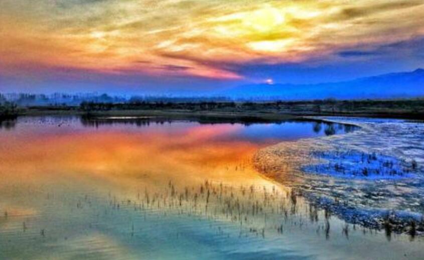 家乡的天鹅湖作文400字