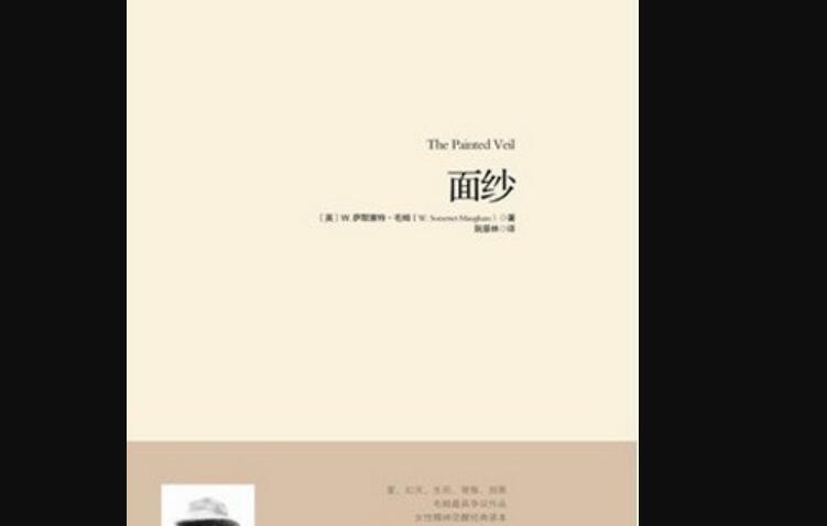 《面纱》读后感3000字