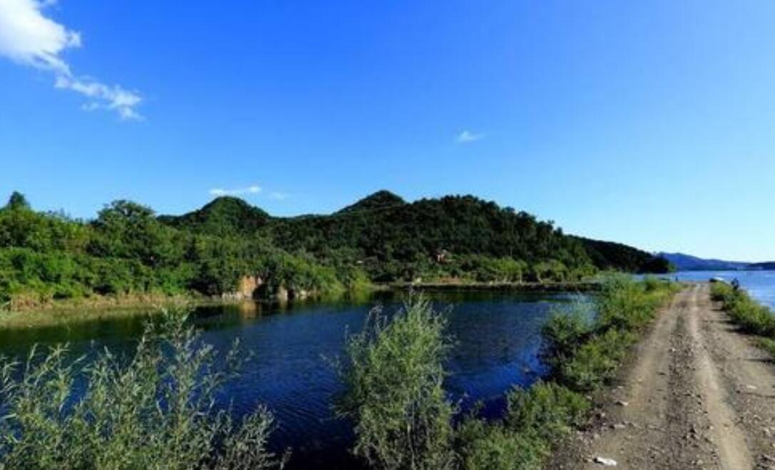 我和我的家乡征文800字