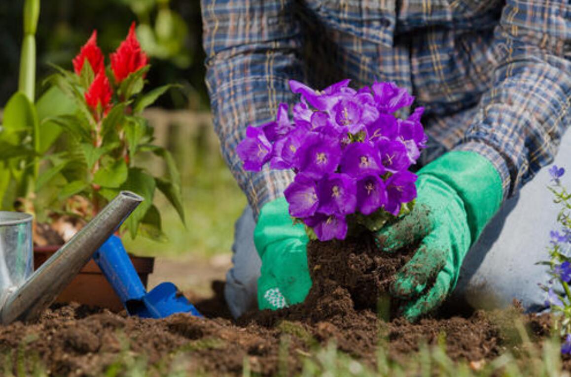 让生活更美好半命题作文600字