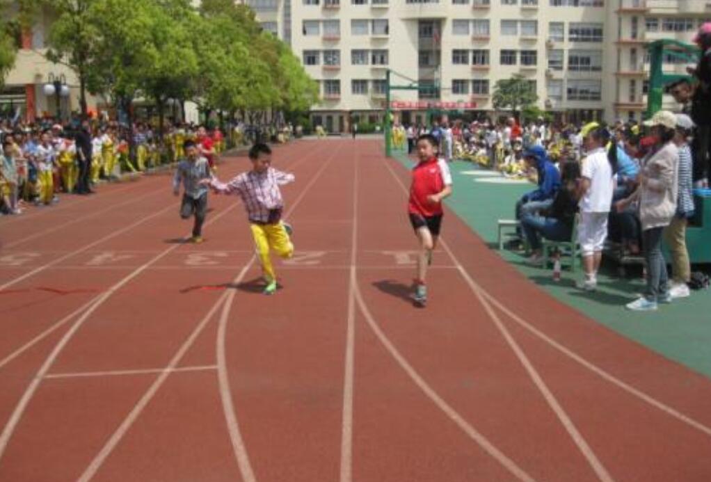 多彩的活动作文500字