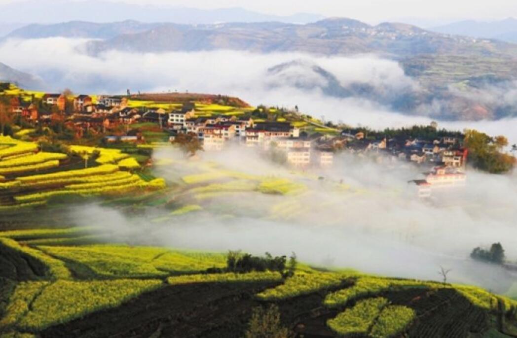 乡村之美作文400字