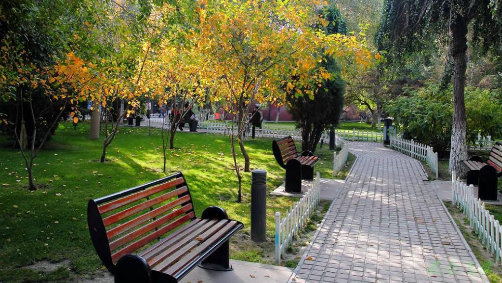 美丽的公园作文400字