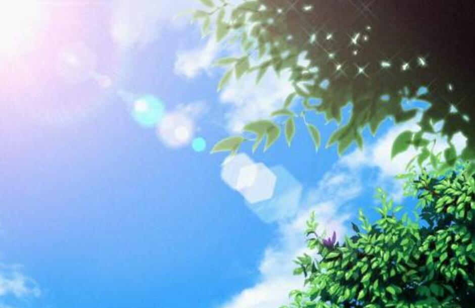 久违的阳光作文800字记叙文