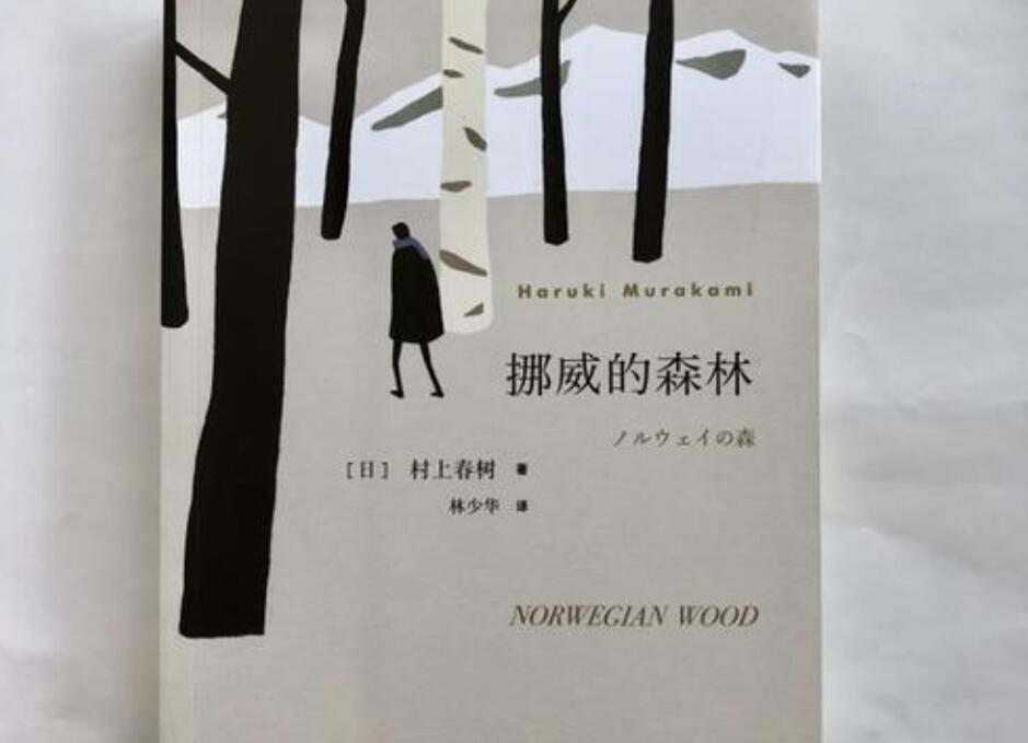 《挪威的森林》读后感300字