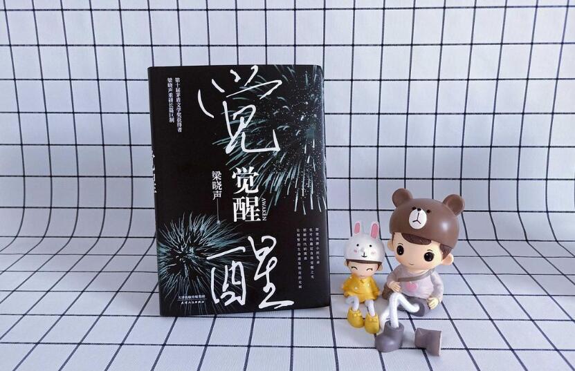 《觉醒》读后感800字