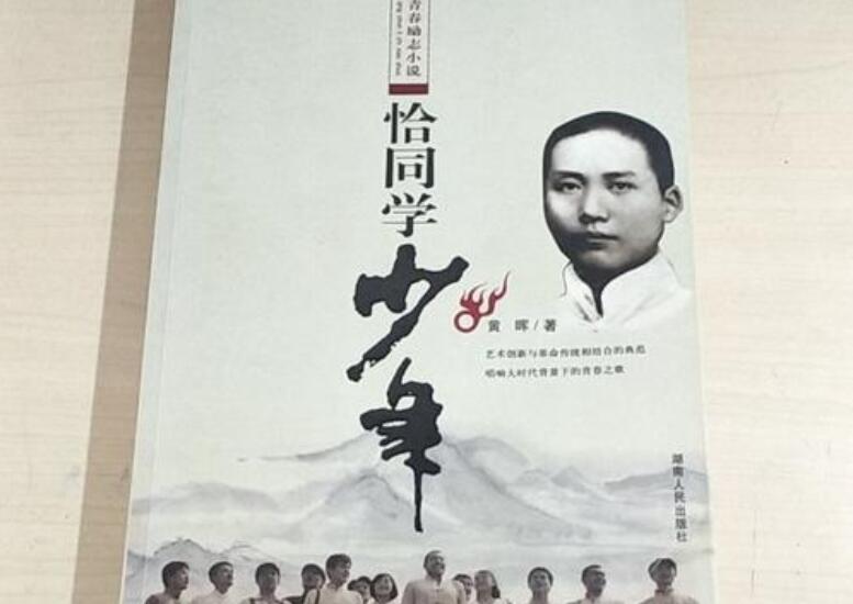 《恰同学少年》读后感600字