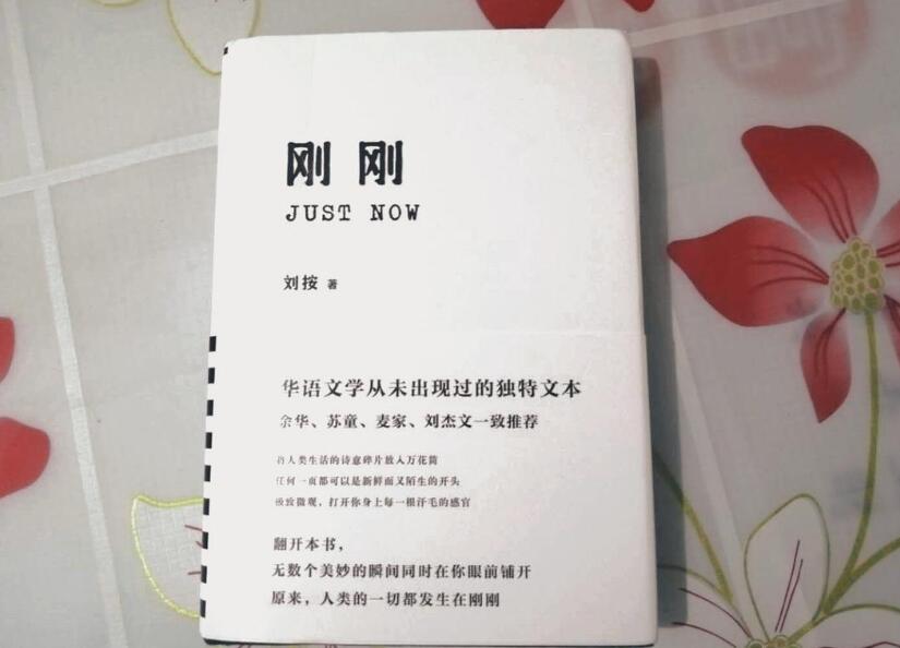 《刚刚》读后感600字