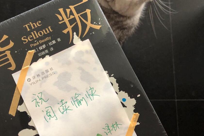 《背叛》读后感500字