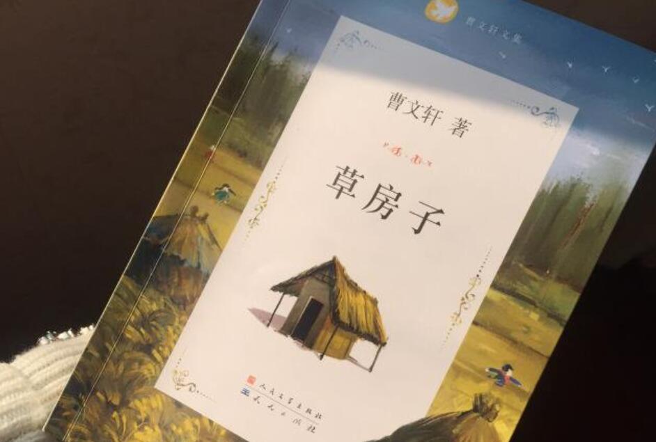 草房子读后感700字作文