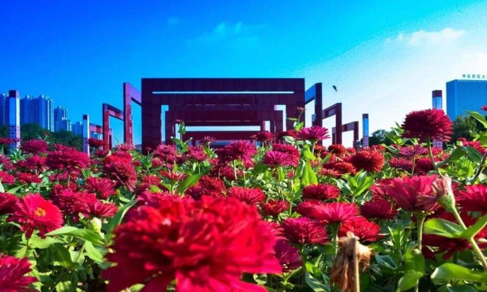 推荐一个好地方作文300字四年级