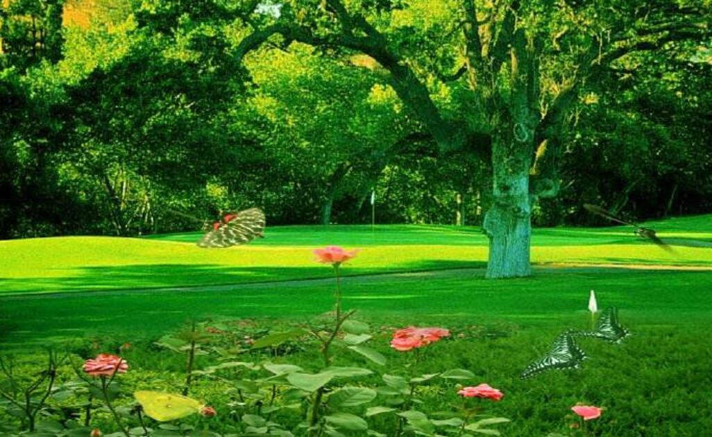 推荐一个好地方作文400字四年级3篇