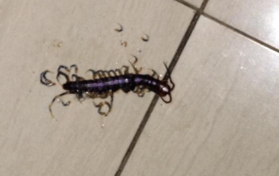 我的害怕作文400字