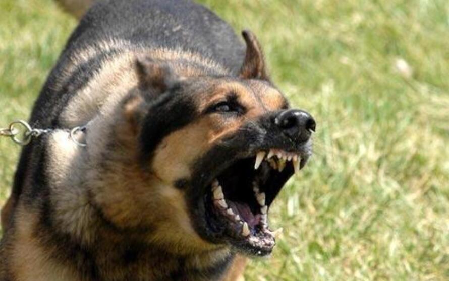 我害怕了作文400字四年级