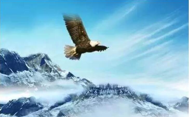 志存高远，脚踏实地作文800字