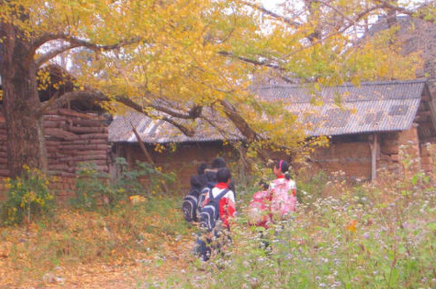 上学路上的景色.jpg 上学路上的景色.jpg