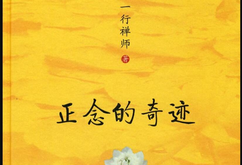 《正念的奇迹》读后感800字