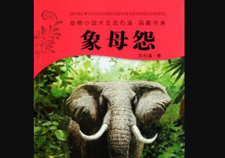 《象母怨》读后感300字