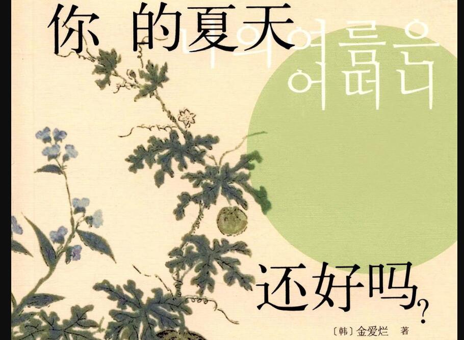 《你的夏天还好吗》读后感1500字
