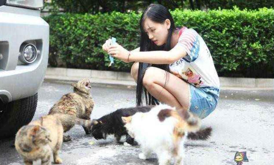 我想开一家店作文400字