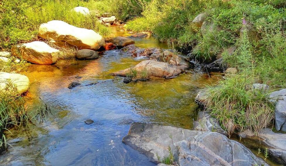 推荐一个好地方作文500字四年级上册