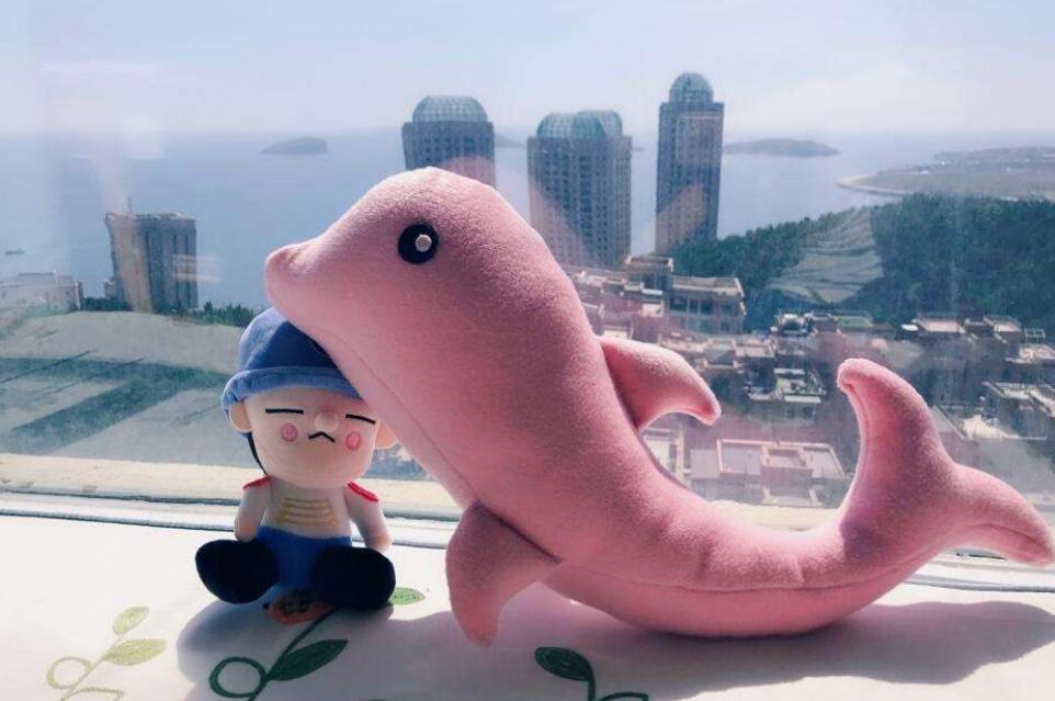 粉色小海豚.jpg