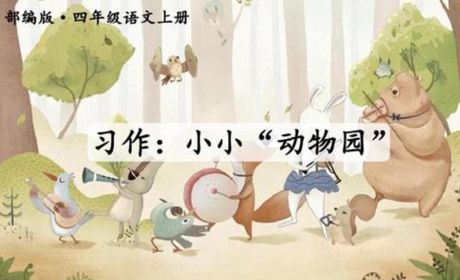 小小动物园.jpg