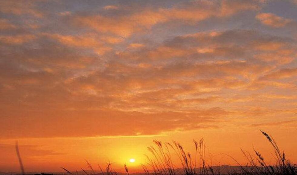 日落即景作文350字