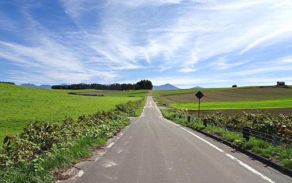 路上有风景作文700字