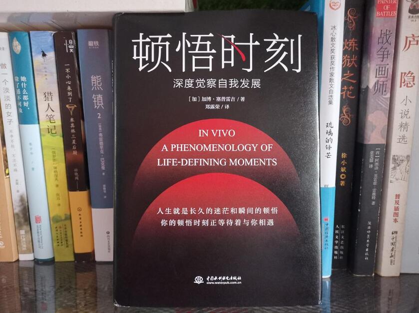 《顿悟时刻》读后感2000字