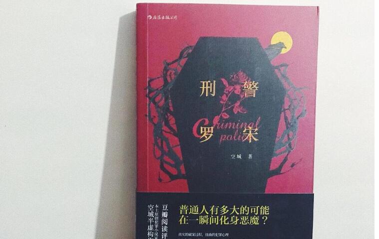 《刑警罗宋》读后感600字