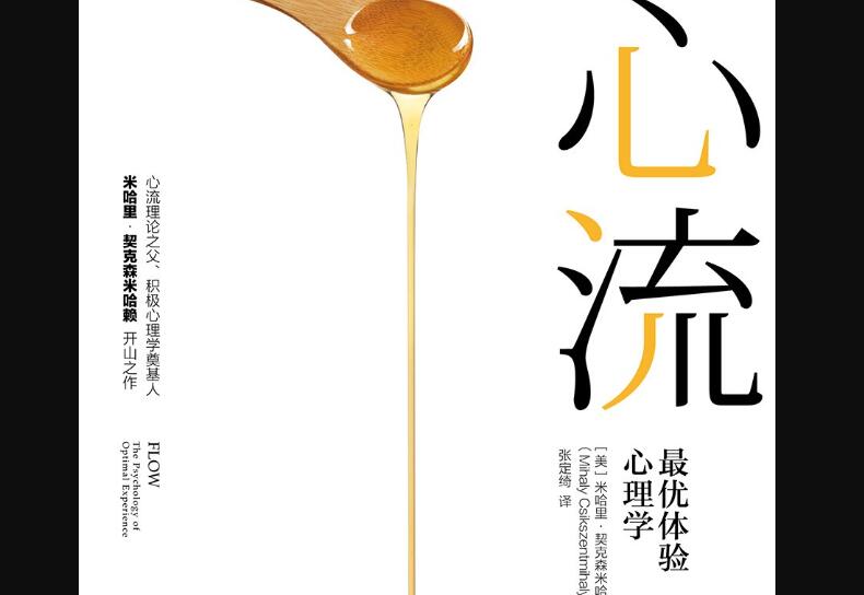 《心流》读后感800字