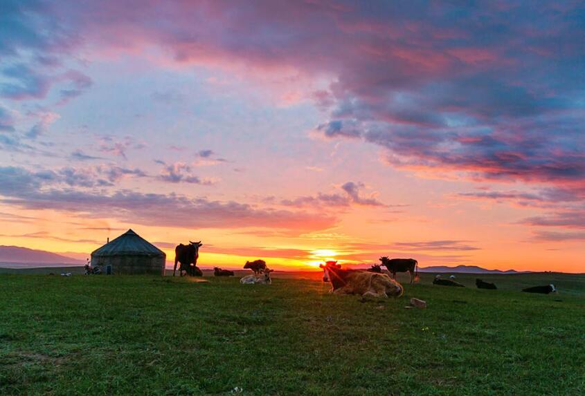 推荐一个好地方作文450字
