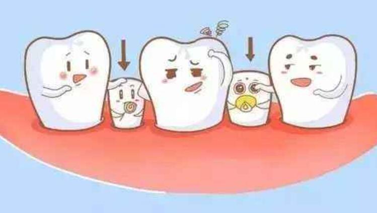 第一次换牙作文400字