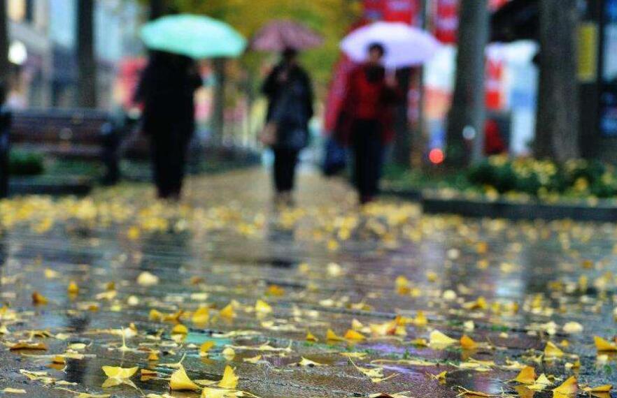 降温了作文400字