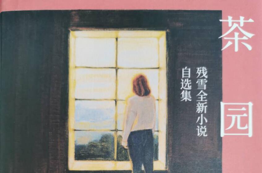 《茶园》读后感1000字