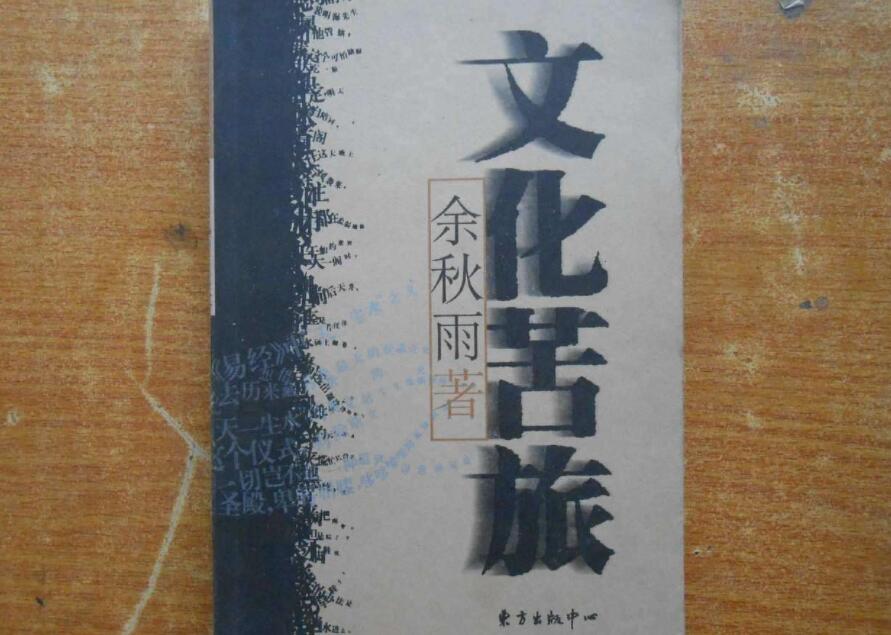 《文化苦旅》读后感600字