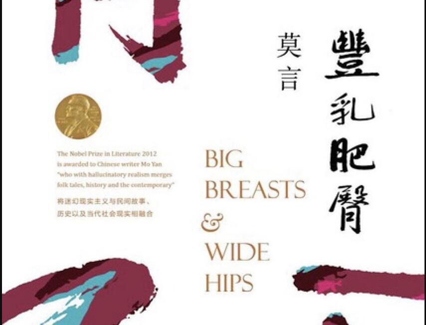 《丰乳肥臀》读后感600字