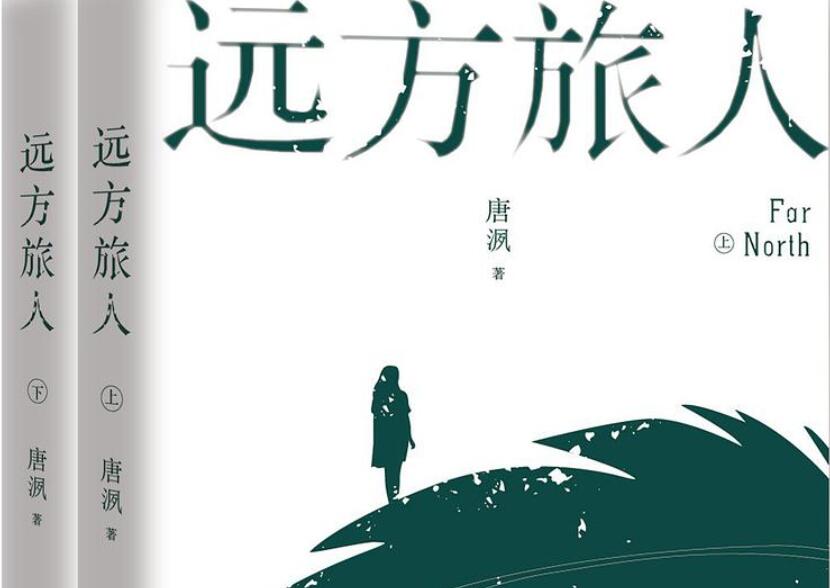 《远方旅人》读后感3000字