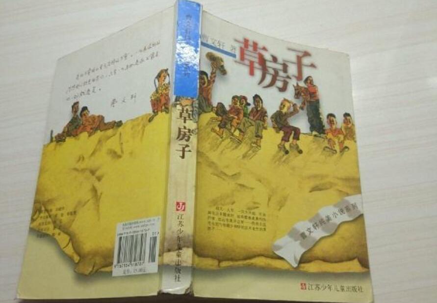 《草房子》读后感400字