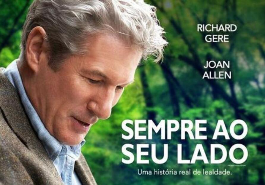 忠犬八公观后感600字作文