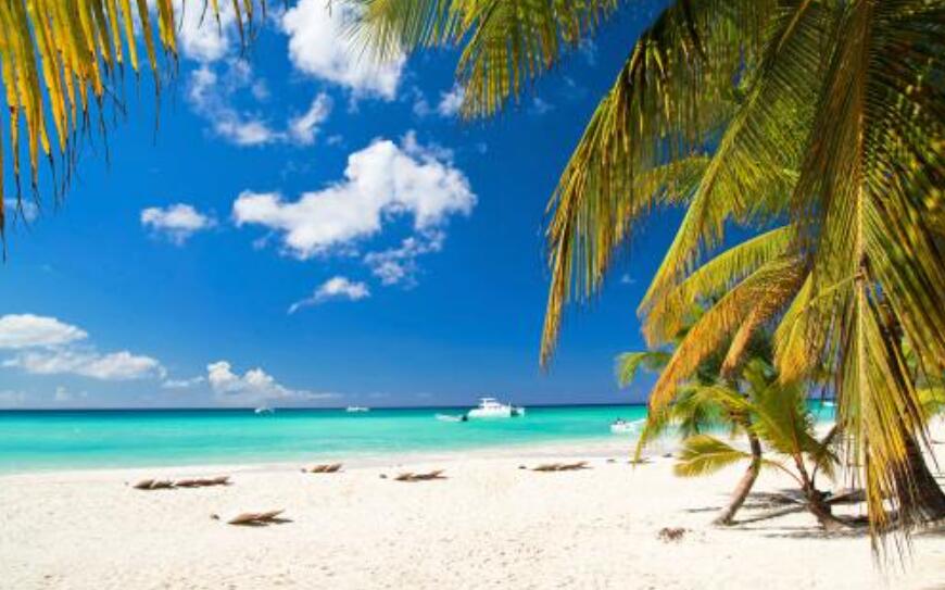 让生活更美好作文500字六年级上册