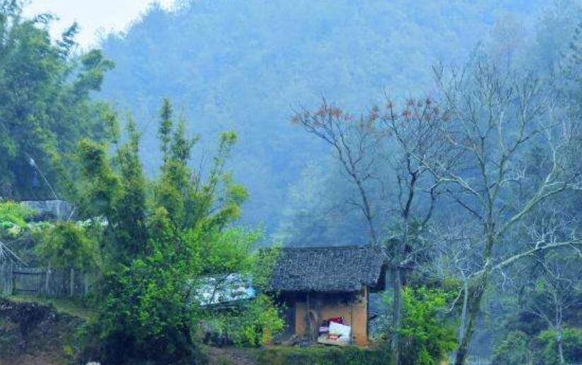 故乡的老屋作文500字