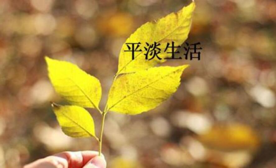 我们的生活需要什么作文600字