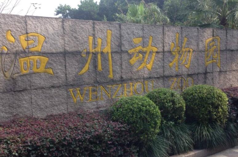 推荐一个好地方作文300字四年级