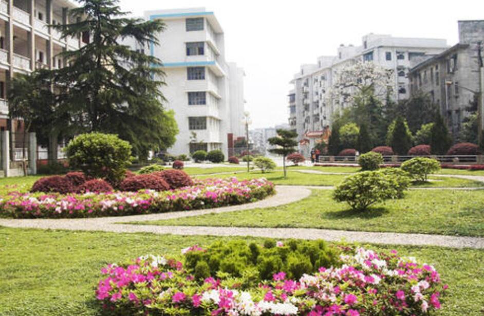 推荐一个好地方作文300字四年级写景