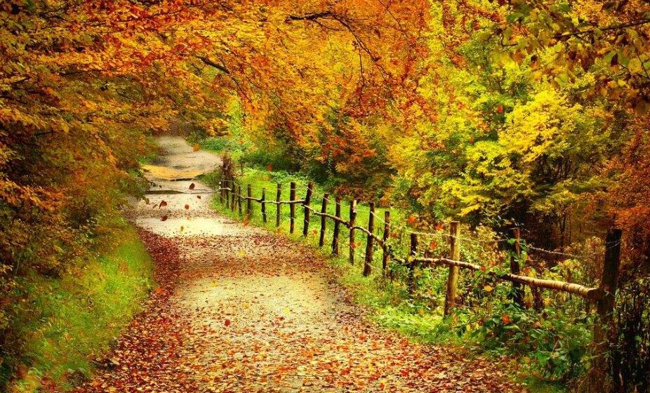 美丽的秋天.jpg 美丽的秋天.jpg