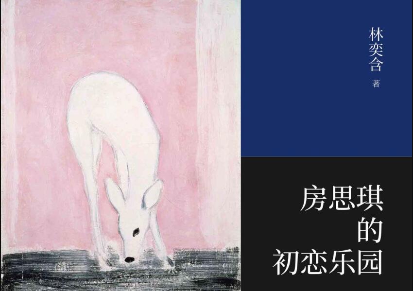 《房思琪的初恋乐园》读后感500字