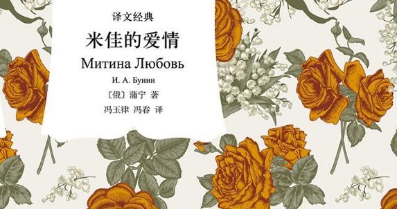 《米佳的爱情》读后感200字