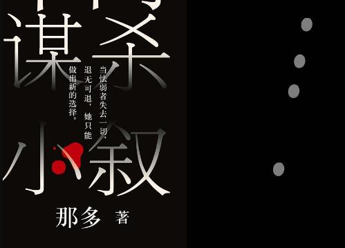 《19年间谋杀小叙》.jpg 《19年间谋杀小叙》.jpg